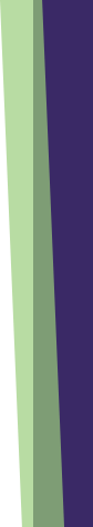 Pet Image Bars